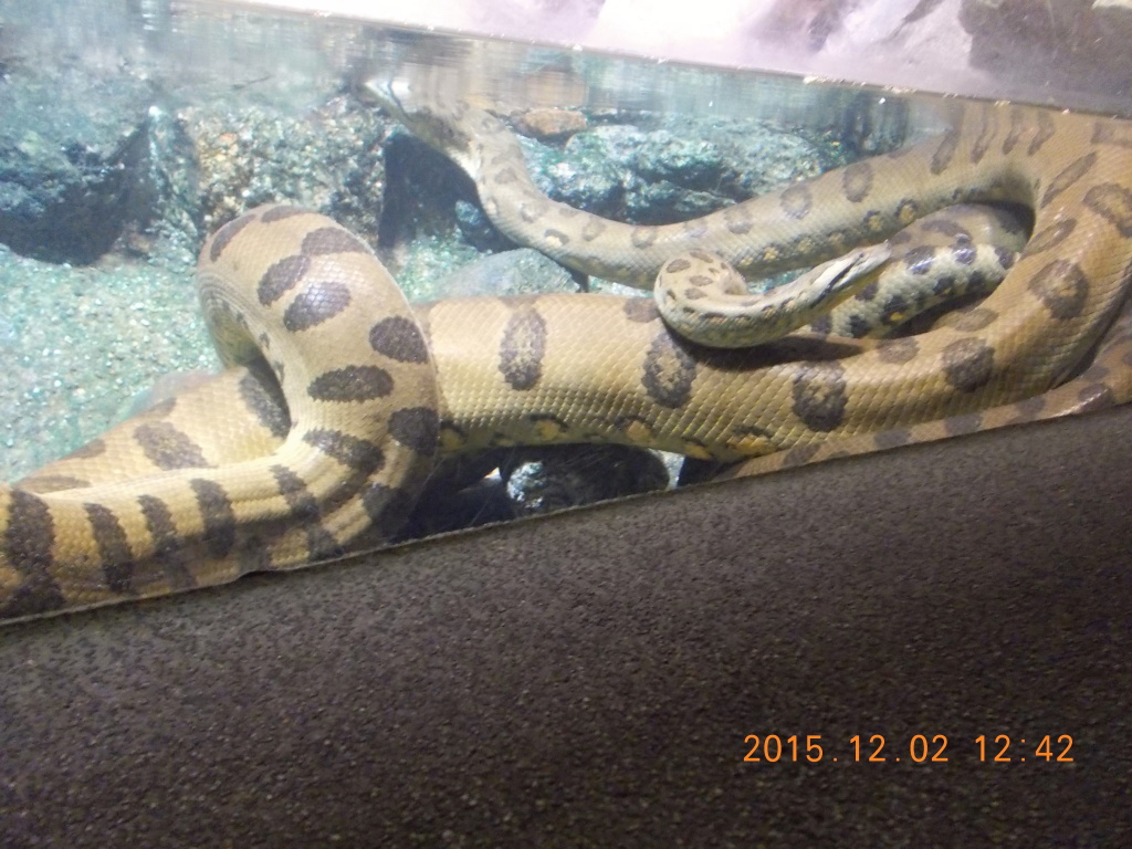 DSCN2236_